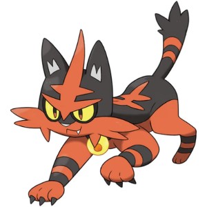 Torracat