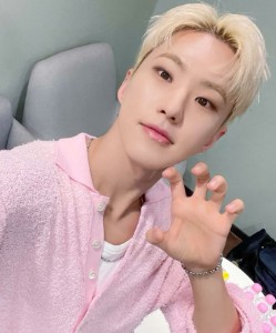 hoshi (seventeen)