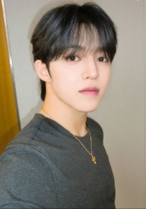 s.coups (seventeen)