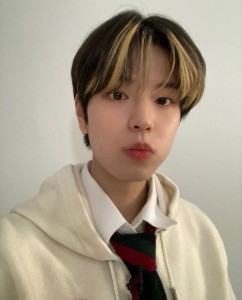 seungmin (stray kids)