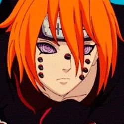 Ajisai (Animal Path)