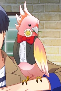 Kamekichi lmao