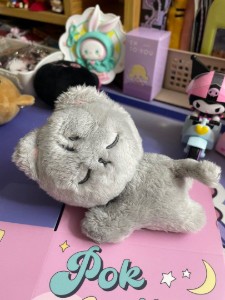 Pokjjun