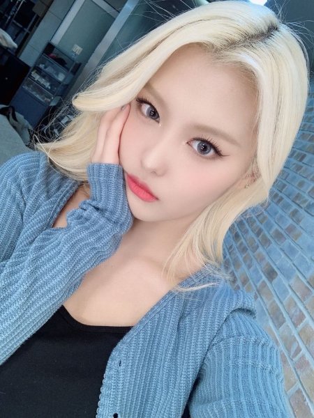 Ahin momoland