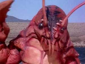 Commander Crayfish