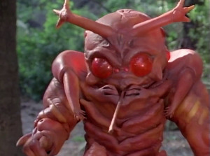 Fighting Flea