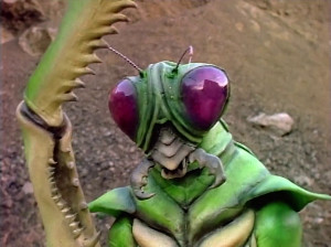 Mantis