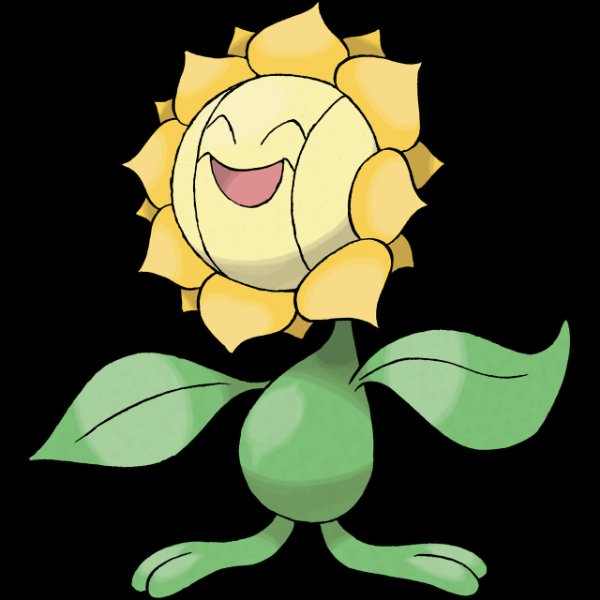 0192 Sunflora