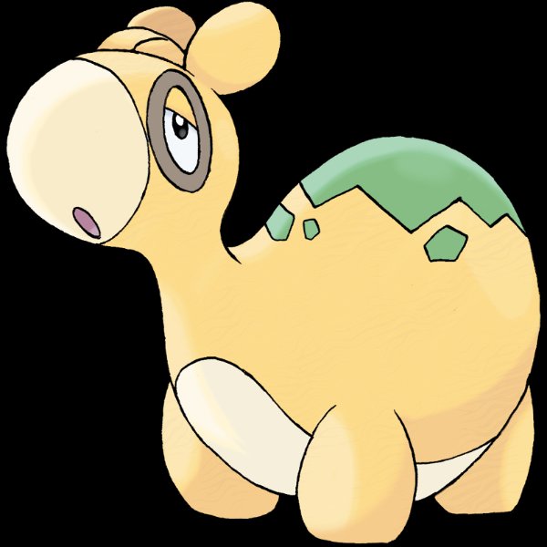 0322 Numel