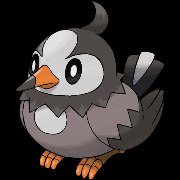 0396 Starly