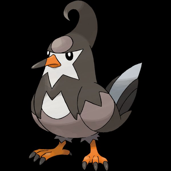 0397 Staravia
