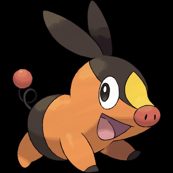 0498 Tepig
