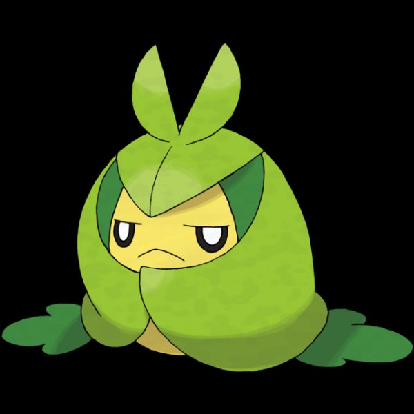 0541 Swadloon