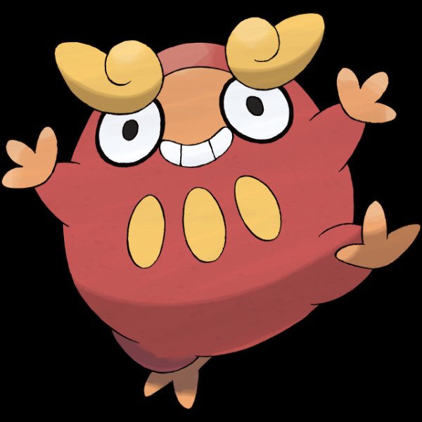 0554 Darumaka