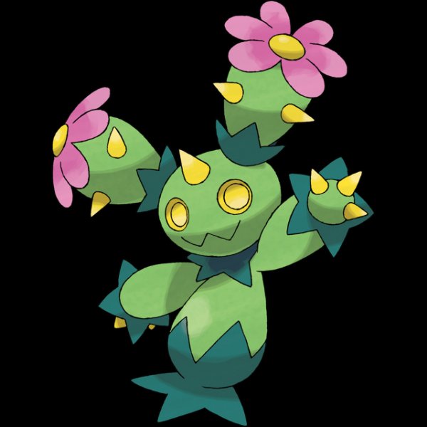 0556 Maractus