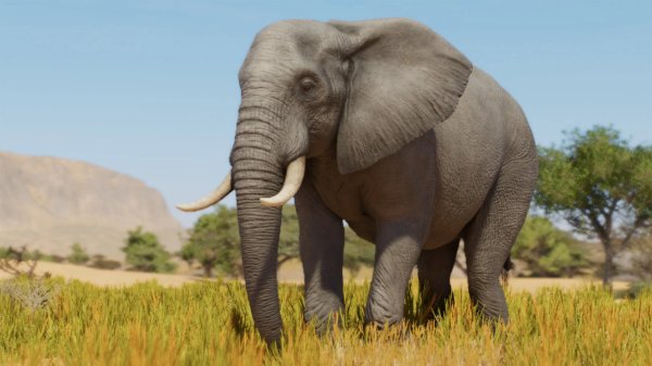 African savannah elephant
