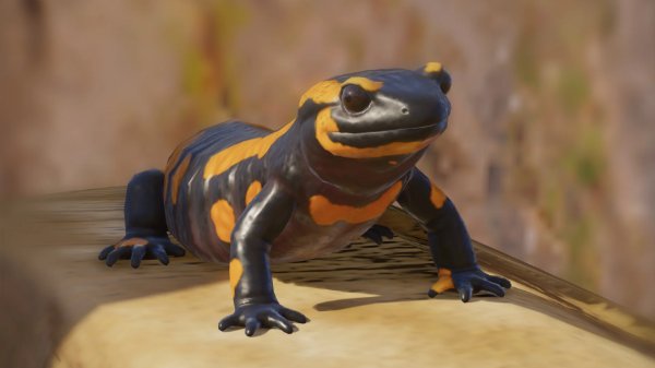 Fire salamander