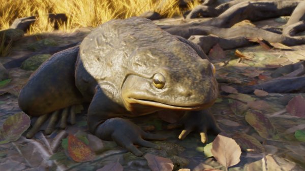 Giant slippery frog