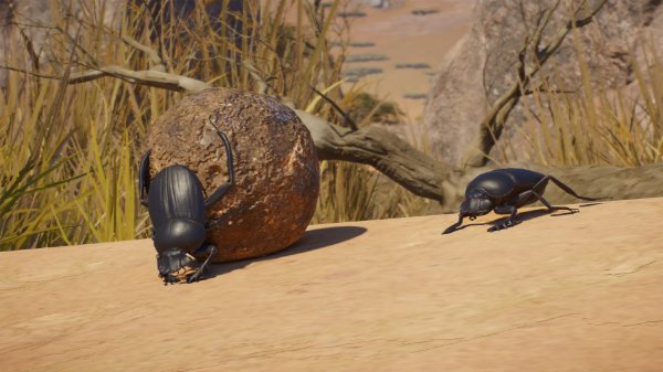 Sacred scarab beetle