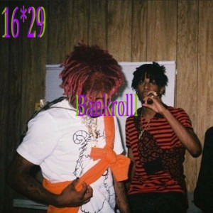 sortr 1629 2