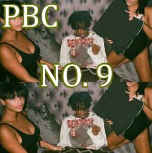 sortr pbc 9