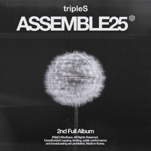 Assemble25