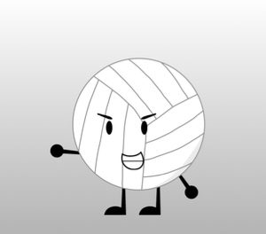 Volleyball
