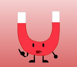 Magnet