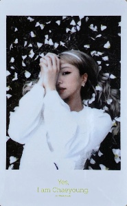 flowers polaroid