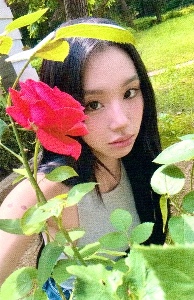 rose chaeng