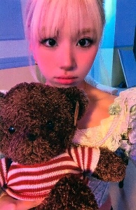 teddy bear