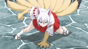 Animal Soul Nine Tailed Fox