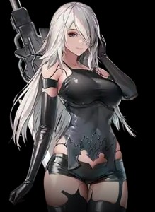 A2