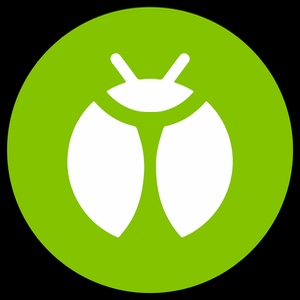 Bug