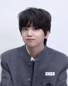 Lee Wooju