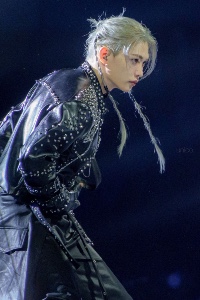 Extensions silver