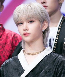 Silver mullet