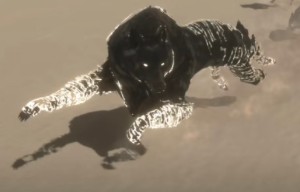 Roc