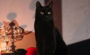 Salem