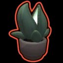 Interstellar Desk Plant