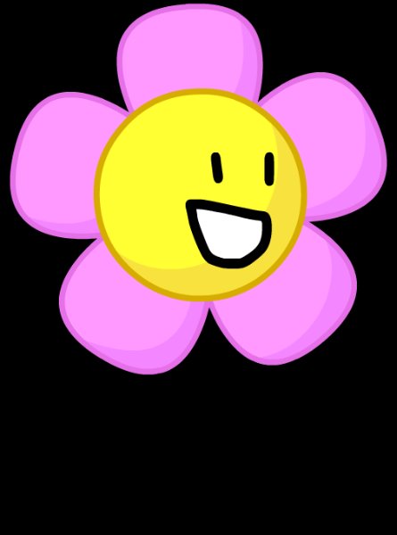 Flower 🌸