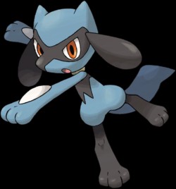 250px-Riolu-DP