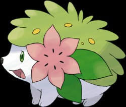 250px-Shaymin_(Forme_Terrestre)-DP