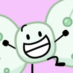 Bot