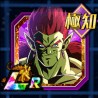 lr bojack