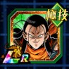 lr 17