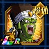 pikkon lr