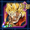 ssj3 int