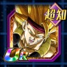 ssj3 xeno bardock