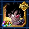 phy turles